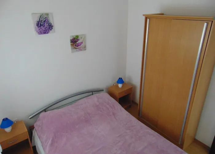 Apartment Borozan *